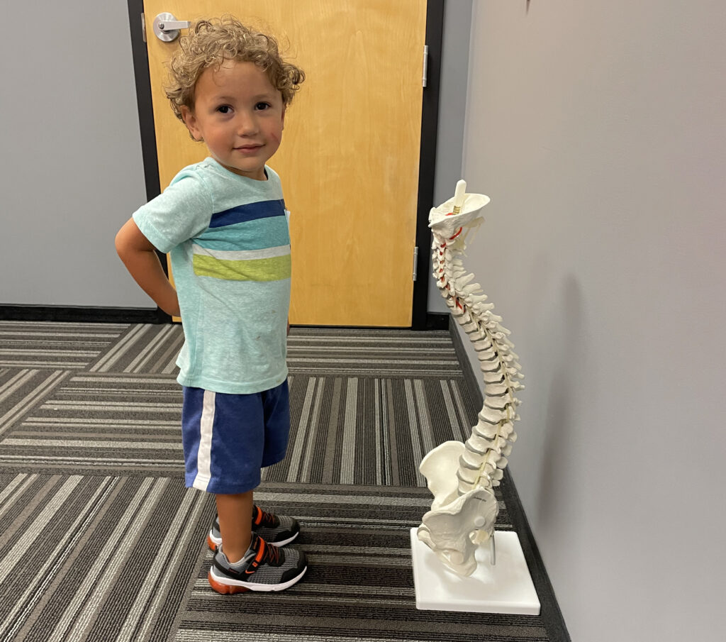 young boy facing a full spine model